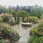 Peace - @peace_moore__gu - Instagram