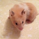 Peach Smith - @peach_vanilla - Instagram