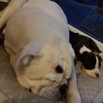 Peaches - @peaches_davis_fletcher - Instagram