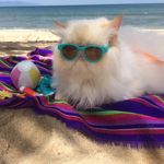Peaches Evans - @fluffydumbnuts - Instagram