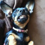 Peaches - @peachesmcgee7 - Instagram