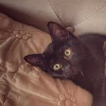 Peaches - @peachesmcgee77 - Instagram
