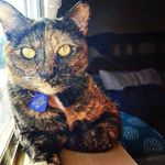 Peaches McGee - @princess_peaches02 - Instagram