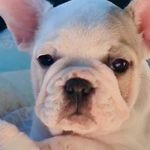 Peaches McGee - @princesspeachieandtoots - Instagram