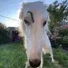 peachesmcgee123 - @peachesmcgee123 - TikTok