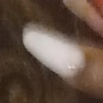 peaches Pearson - @peaches_its - Instagram