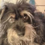 peanut smith - @peanut082014 - Instagram