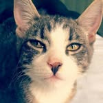 Peanut Smith - @peanut.smith - Instagram