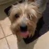 Peanut smith - @peanutlovespeanuts13 - TikTok