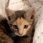 peanut williams ✨ - @peanutlorainewilliams - Instagram
