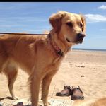 Pearl and Archie Abbott - @parchieabbott - Instagram