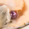 pearl bro - @renessa_pearl - TikTok