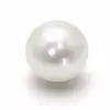 AmazingPearl_Bruce - @amazingpearl01 - TikTok