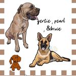 GERTIE,PEARL,BRUCE - @_gertie_pearl_bruce_ - Instagram