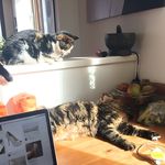 Pearl&Bruce - @smokinghoteastendpussies - Instagram