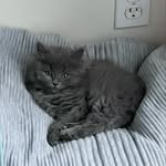 @pearl.f.buckley - Instagram