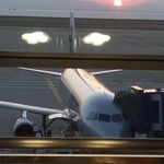 Perl Buddy - @pearl_buddy - Instagram