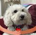 Pearl Burrows - Facebook