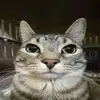 callmepearlxd - @callmepearlxd - TikTok