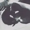 pearlecameron - @pearlecameron - TikTok