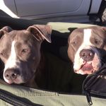 Chase&pearl, - @chasepearl9195 - Instagram