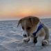 Pearl Ching - Facebook