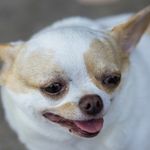 Pearl/combs - @pearlcombs8 - Instagram