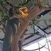 Pearl Diamond - @pearldiamond.20 - TikTok