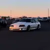 Foxbody - @pearlwhitefox - TikTok