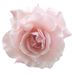 Pearl Hedrick - Facebook