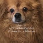 Pearl Magee - @pearlmagee - Instagram