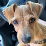 Minnie Pearl Moon Morrow - @minnie_pearl_1.10 - Instagram