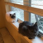 Pearl And Romeo Murray - @pearl_romeomurray - Instagram