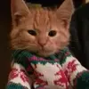 🧁·˚ ༘ elanor₊˚📝🎅🏻·˚ˎˊ˗ - @pearlnessaz - TikTok