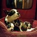 Pearl Olson - Facebook