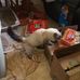 Pearl Payne - Facebook
