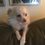 Pearl Payne - @riot_pearl - Instagram