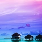 Percy Pearl - Facebook