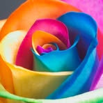 Pearl Persaud - Facebook