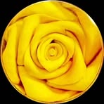 Pearl Pham - Facebook