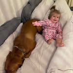 Pearl & Piper - @pearl.and.piper - Instagram
