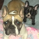 Pearl And Piper - @pearlandpiper_ - Instagram
