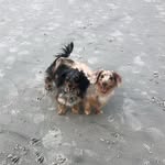 Piper & Pearl ♥ - @piper_and_pearl - Instagram