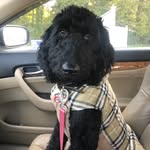 Piper Pearl - @piperpearl1 - Instagram