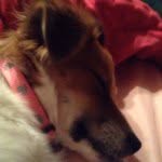 Piper Pearl Milhauser - @piper_pearl_1010 - Instagram