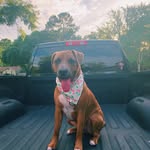 Piper Pearl Moneyhun - @hyper_piperpearl - Instagram