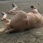 Nancy Pearl Reed - @nancypearlreed - Instagram