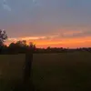 taylor pearl - @taylorpearl312 - TikTok