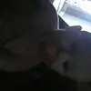 Pearl Whitaker - @pearlwhitaker - TikTok
