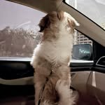 Pearly Kindikeri - @pearlyangel_02 - Instagram